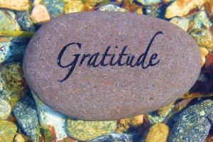 Gratitude