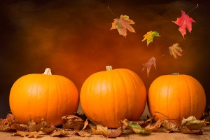 Three pumpkins with fall leaves with seasonal background