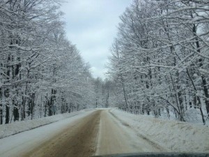 Winter